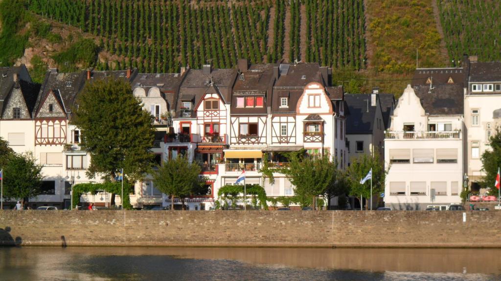 Pension Adelheid Moselhype&Wine 摩泽尔河畔的泽尔 外观 照片