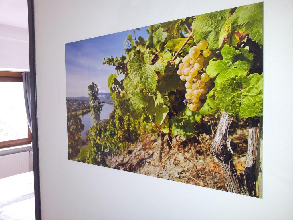 Pension Adelheid Moselhype&Wine 摩泽尔河畔的泽尔 外观 照片