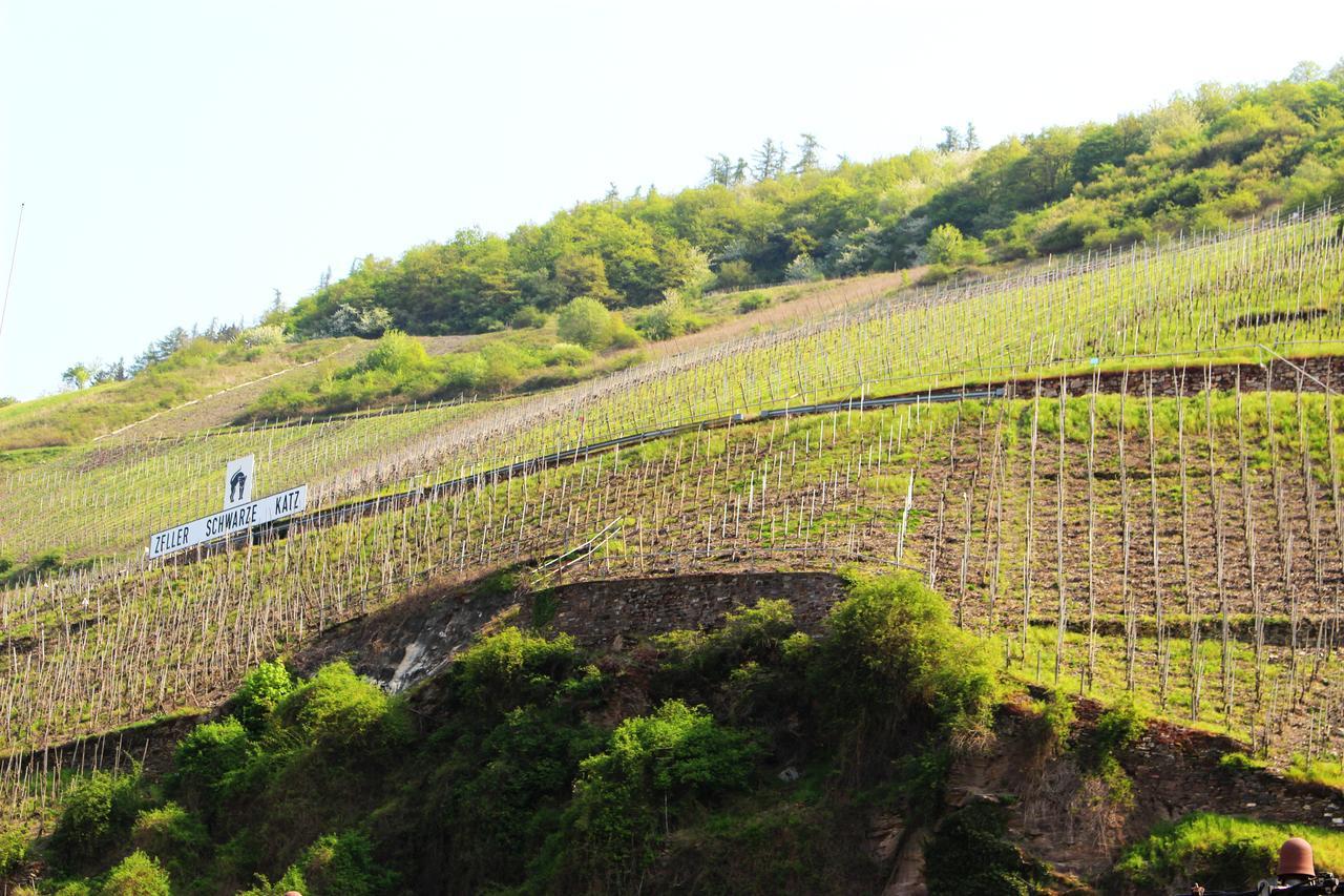 Pension Adelheid Moselhype&Wine 摩泽尔河畔的泽尔 外观 照片